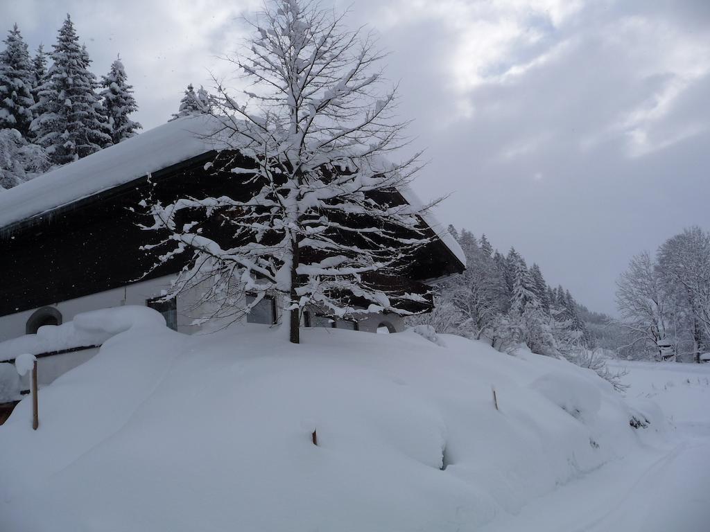 Hans Ebner * Eben Im Pongau